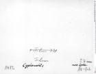 Historisches Foto (Rückseite) von Distefania calva (Schweitzer & Feldmann, 2009) (NHMW-AFW-GEO-BACHMAYER-FOTO-1990-0041-1482)